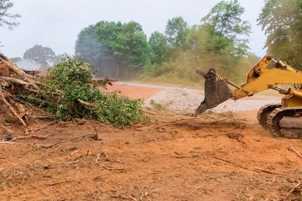 Ground Clearing in Draper