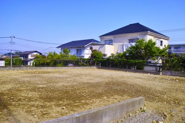 Cost of Lot Clearing Service in Draper