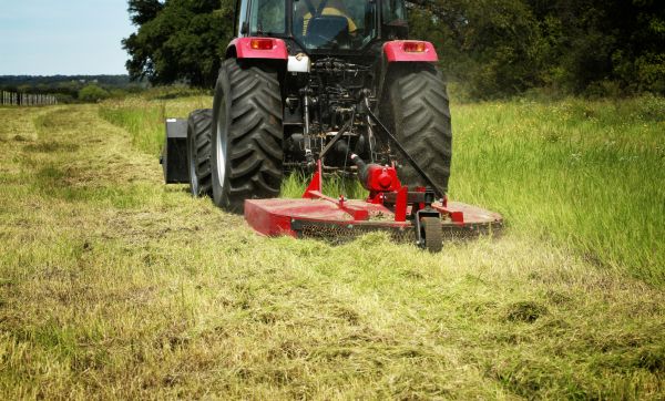 Brush Clearing Service in Draper