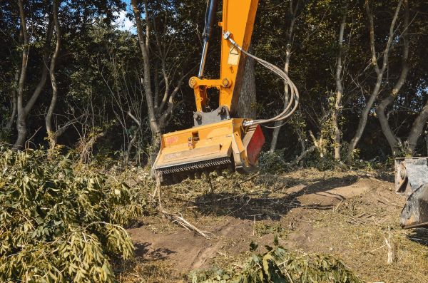 Brush Removal Service in Draper