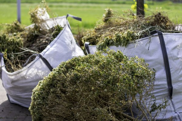 Cost of Bushes Clearing in Draper