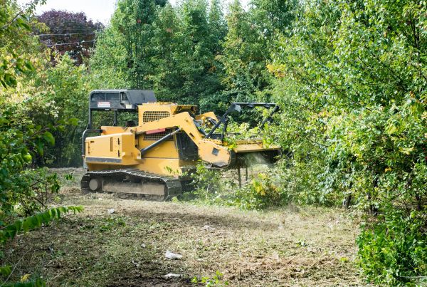 Cost of Pathway Clearing in Draper
