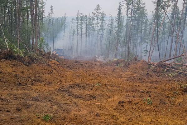 Cost of Hill Clearing in Draper