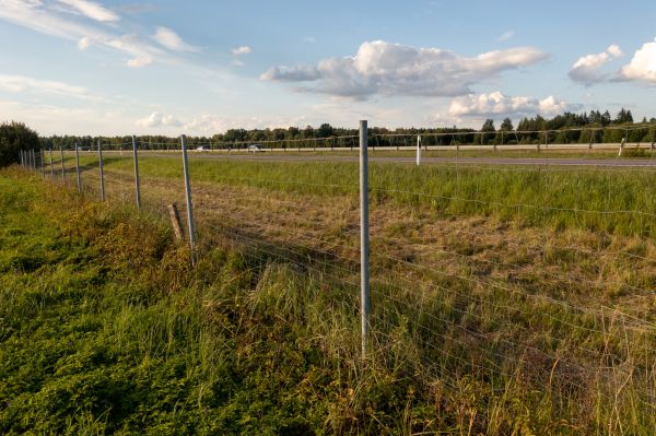 Cost of Property Line Clearing in Draper