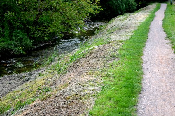 Cost of Trail Cutting in Draper